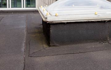 disadvantages of Elvet Hill flat roofs